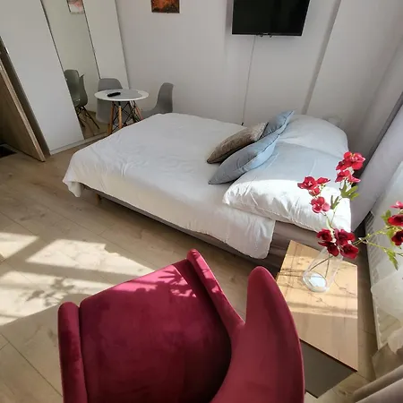 - 6 公寓 格利维采